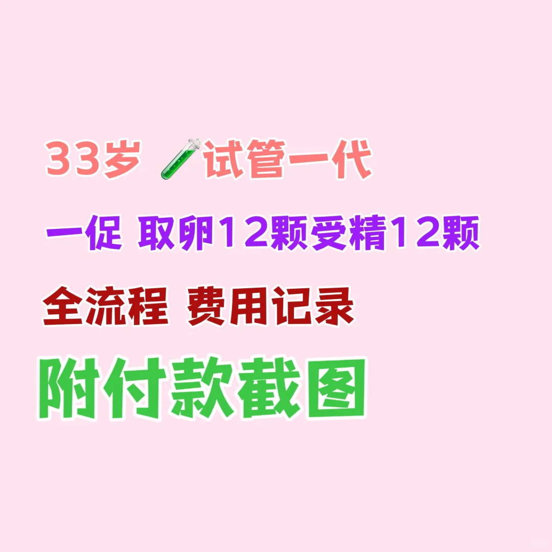 试管 🧪促排取卵全过程 费用清单,那里做代孕较好
