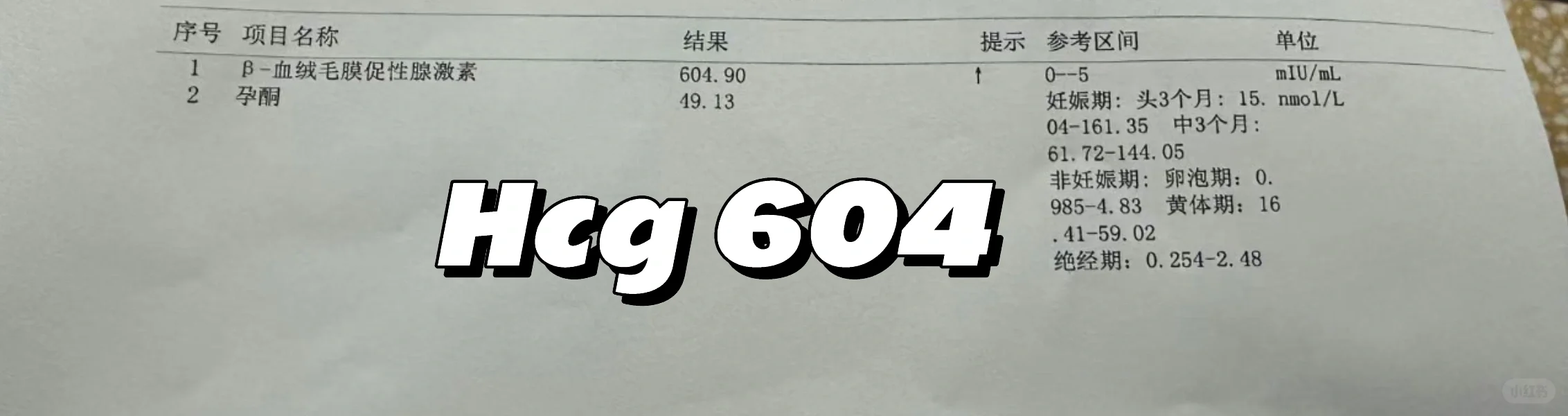 移植12天HCG值604验孕分享与经验总结